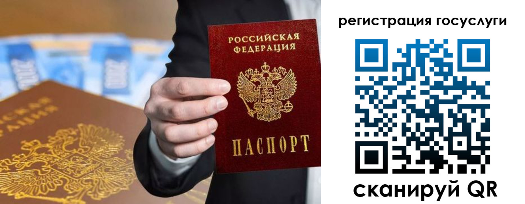 прописка в Волхове